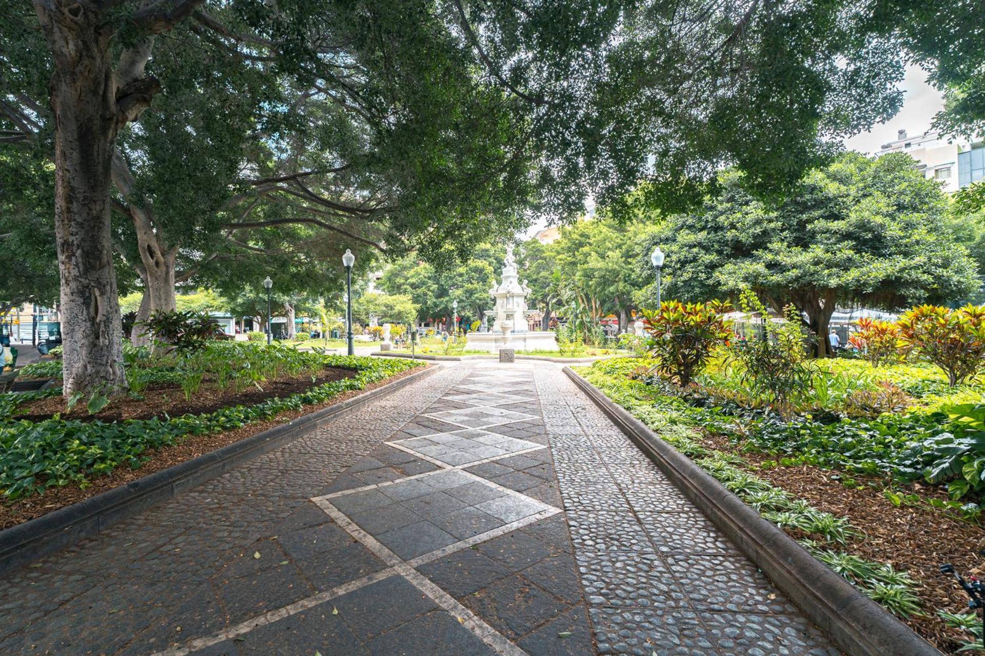 Apartamento Centro Ciudad Santa Cruz de Tenerife Exteriér fotografie